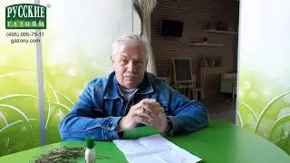 Дмитрий Юрьевич Лянгузов: борьба с сорняками на газоне