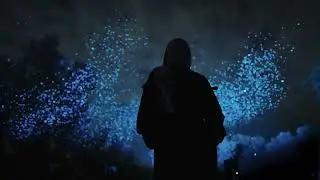 Luminous SPARK: Illuminating Traditions, Transforming Tomorrow