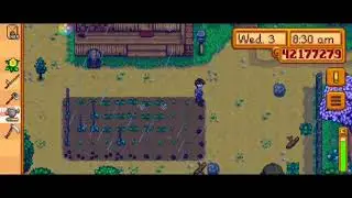STARDEW VALLEY MOD