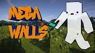 (Montage Soon) ALL LEGENDARY SKINS UNLOCKED (LEGENDARY WW) - Mega Walls