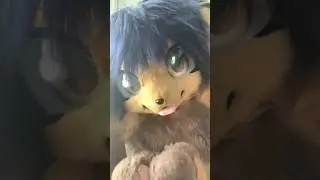 Ty for the love & support on my last short!! #furry #furtuber #kemonofursuit #fursuit #fursuiters