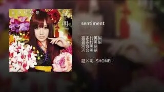 sentiment