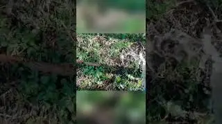 бурение абиссинской скважины