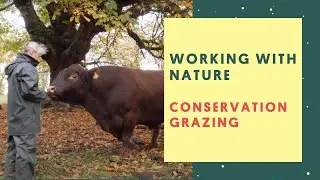 Bill and Cath Grayson, Morecambe Bay Conservation Grazing Company
