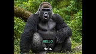 The Animals of the world