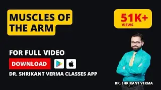 Anatomy of the Upper Limb: Exploring the Muscles of the Arm | Dr. Shrikant Verma Classes