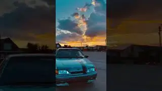 Vaz2114🦈🔥🤤