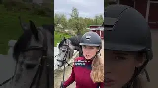 Equestrian life 🐴 