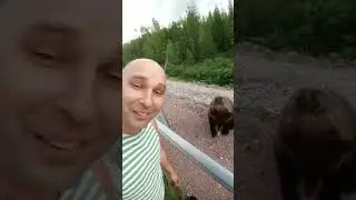 кормлю медведя с рук , Якутия 
