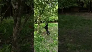Ротвейлер Тайлер