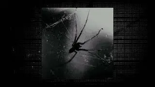 FREE FOR PROFIT KEN CARSON TYPE BEAT - FACE TO FACE