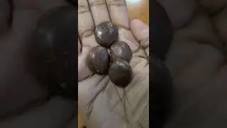 What's Inside MILK DUDS? 