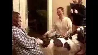 Putting socks on Molly