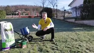 Únor - anglický trávník | ŠENA