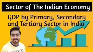 Class 10 Sector of Indian Economy ll GDP by Primary, Secondary and Tertiary Sector in India