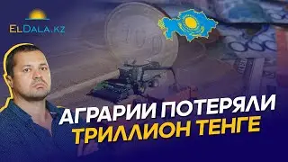 THERE WILL BE MORE BANKRUPT FARMERS IN 2024. What's wrong with Kazakhstan's agricultural sector?