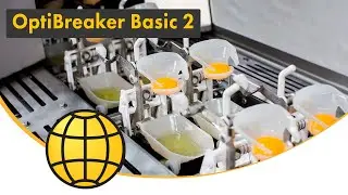 Egg processing machine with breaking and separation - SANOVO OptiBreaker Basic 2
