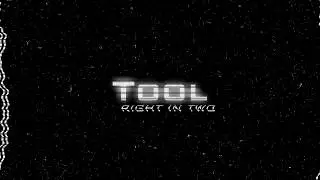 Tool - Right In Two (KS Guitar Cover)