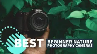 Best Beginner Cameras for Nature Photography in 2023
