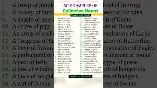 50 Collective Nouns you need to know || 
