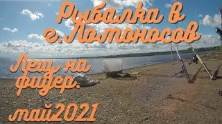 Fishing in Lomonosov (Gulf of Finland), bream on a feeder, May 2021
