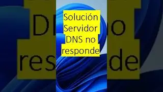 Solución Servidor DNS no responde Windows 11