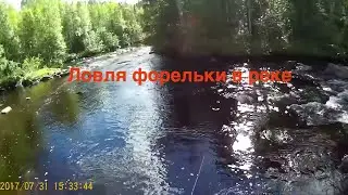 Пеструшка на реке
