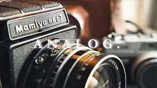 You should shoot film this year.