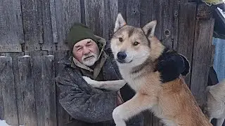 Hunter's Tales