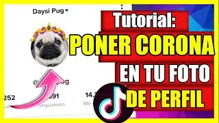 👑🤴Como poner la CORONA en la foto de PERFIL de TikTok |🔴 Filtro Yo Animad@ | Yo animado