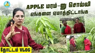 Apple மரம்-னு சொல்லி எங்களை ஏமாத்திட்டாங்க | Garden Vlog | #garden #familyvlog | VJ Deepika