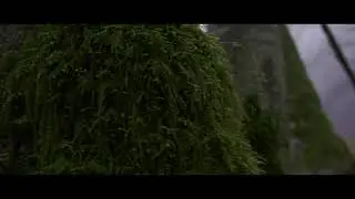 Audio Test Zoom H4N Pro
