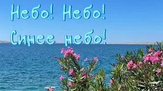 Небо! Небо! Синее небо!  (Хор)