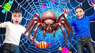 NE JAMAIS VOLER LES BONBONS DE L'ARAIGNÉE GÉANTE !