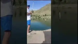 пришли видео как ты себя удовлетворяет( прикол)