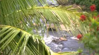 Hawaiian Song - Molokini