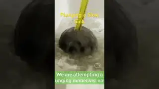 Plunging a Slow-draining Sink