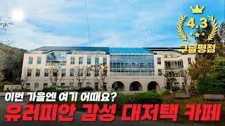 Charming Cafe Near Seoul | Autumn Outing at Mokusura, Feels Like a European Mansion! 📌 Paju Mokus...