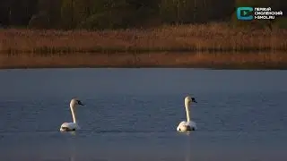 Природоведение. Водоёмы