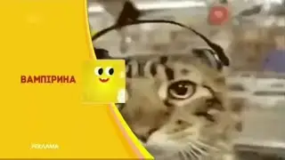 Фейкові заставки ПлюсПлюс (2018 - н.в.)
