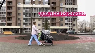 vlog\\ 2 дня из жизни с подругой, захламлённая квартира, кормлю кусочками