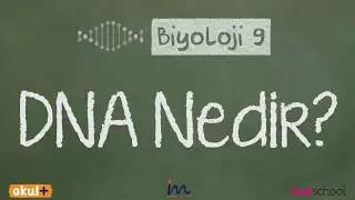 RNA Nedir