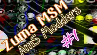Zuma MSM #1 (Mod by: AmS Modders)