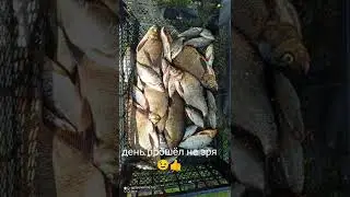 день рыбака!