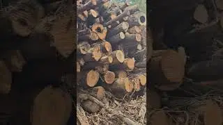 Few Loads Stacked‼️