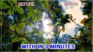 CINEMATIC COLOR GRADING WITH 3 MINUTES without LUT