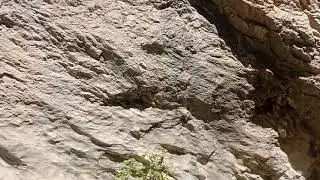 gezende kanyonu