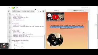 Animation Video Directions for Advanced Web Development Project