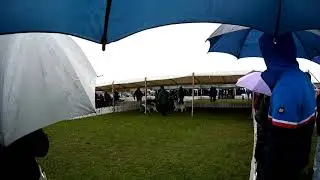 Siberian Hysky -  C.A.C.I.B  TURDA DOG SHOW