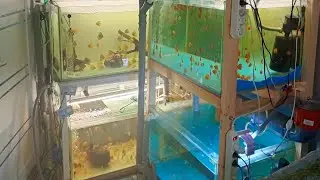 обзор мини разводни в квартире.